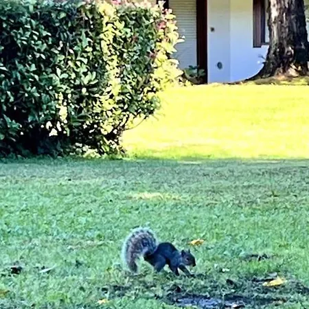 Un Posto Da Sogno Con Parco Privato A Vinovo