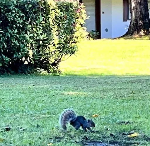 Un Posto Da Sogno Con Parco Privato A Vinovo